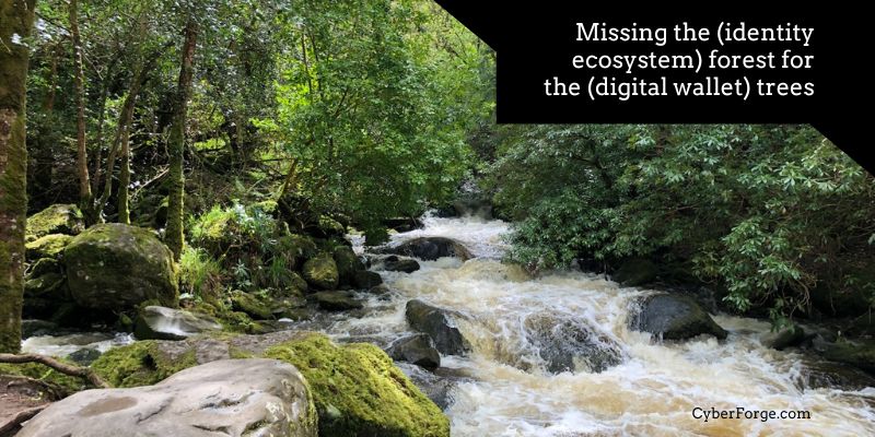 Miss the (identity ecosystem) forest for the (digital wallet) trees