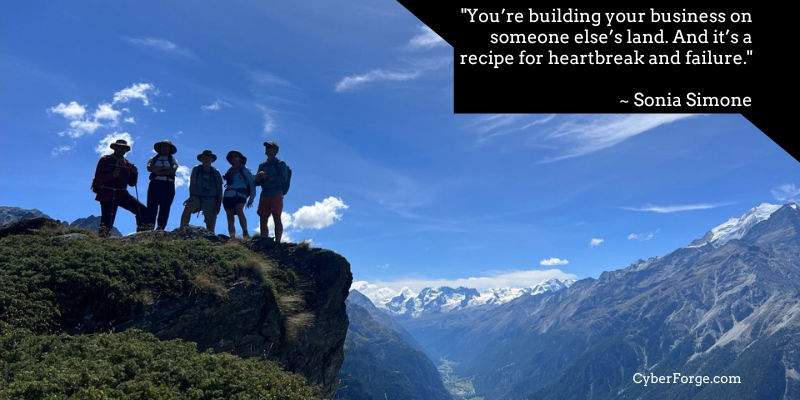 You’re building your business on someone else’s land. And it’s a recipe for heartbreak and failure - Sonia Simone